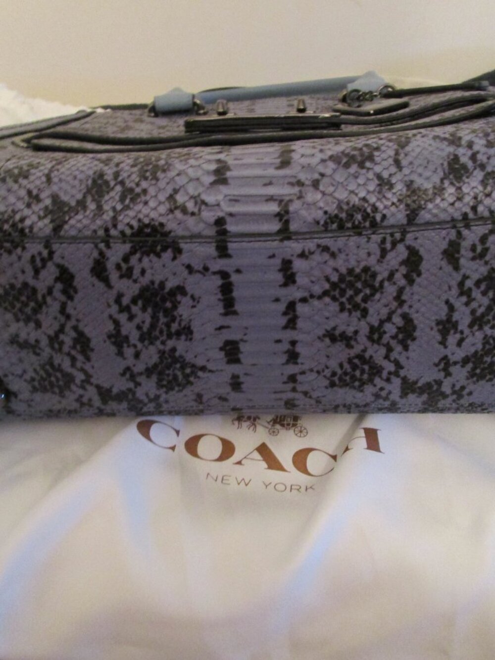Coach Cornflower Python Swagger - Picture 2 of 12